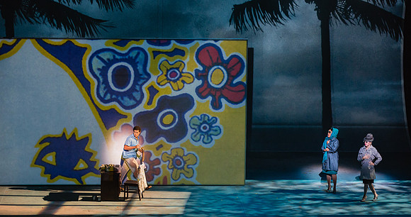 Before Night Falls Florida Grand Opera by Jorge Martin with Dolores M. Koch