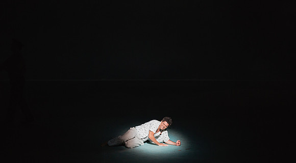 Before Night Falls Florida Grand Opera by Jorge Martin with Dolores M. Koch
