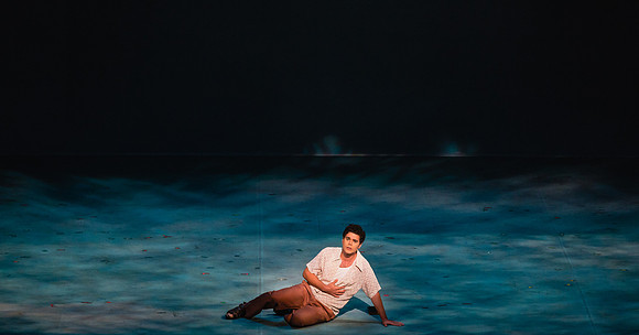 Before Night Falls Florida Grand Opera by Jorge Martin with Dolores M. Koch