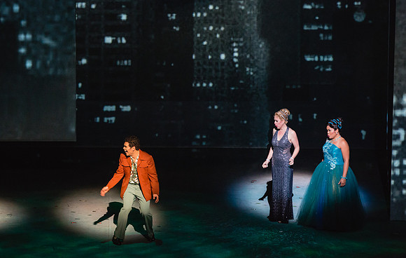 Before Night Falls Florida Grand Opera by Jorge Martin with Dolores M. Koch