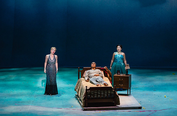 Before Night Falls Florida Grand Opera by Jorge Martin with Dolores M. Koch