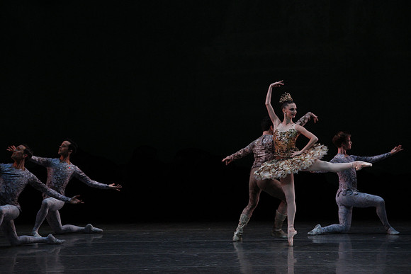 20160318_Midsummer_Night's_Dream_PR_Closeup_G3P0074
