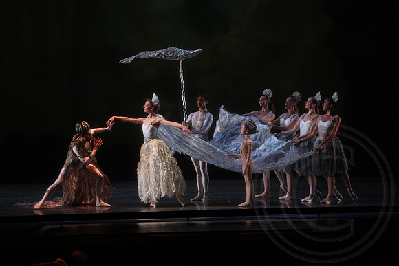 20160317_Midsummer_Nights_Dream_DR_Closeup_IMG_5694
