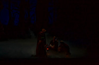 7064_DG_GISELLE_Broward_Preformance_Miami_City_Ballet_FL_AL1B1987