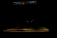 Orfeo ed Euridice Florida Grand Opera by Ranieri de’ Calzabigi