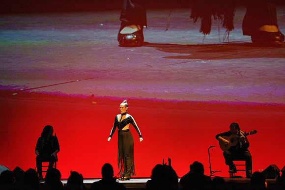 20210417_Siudy_ flamenco_archt_DSC9215