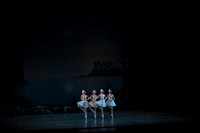20151025_MCB_Swan_Lake_2Cast_Arsht_IMG_0031