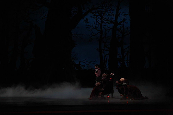 20161020_MCB_Giselle_Act2_DRNN_Arsht_9C7C0022
