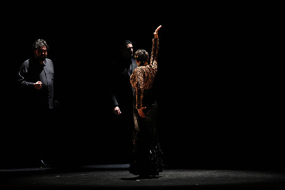 20140227_Flamenco_Festival_1_9C7C0044