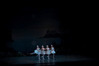 20151025_MCB_Swan_Lake_2Cast_Arsht_IMG_0004