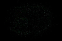 20171019_Emeralds_DR_BS_9C7C5853
