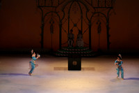 20141229_Nutcracker_WPB_Chinese_CG3P1201