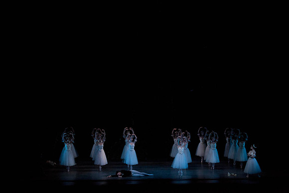 7064_DG_GISELLE_Broward_Preformance_Miami_City_Ballet_FL_IMG_4967