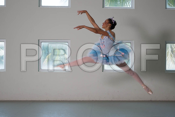 AL1B0540