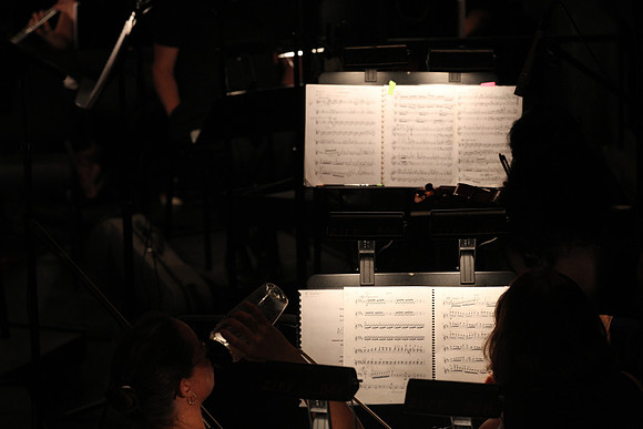20161023_Giselle_Orchestra_Arsht9C7C0285