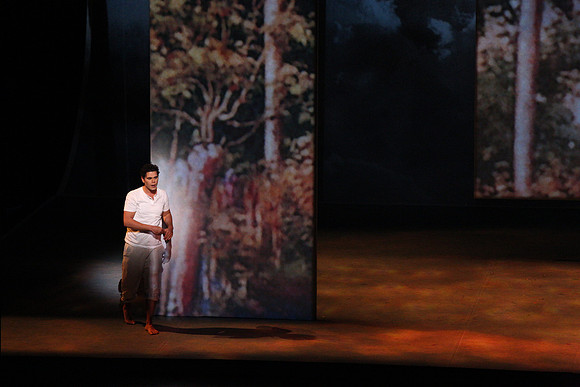 Before Night Falls Florida Grand Opera by Jorge Martin with Dolores M. Koch