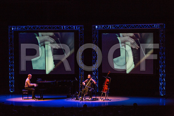 20150203_The_Piano_Guys_Arsht_9C7C1566