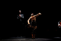 20140227_Flamenco_Festival_1_9C7C0018
