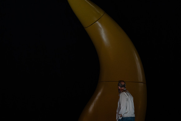 _DSC0507