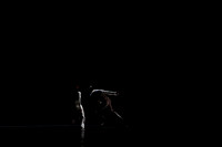 20160220_Alvin_Ailey_Awakening_IMG_4382