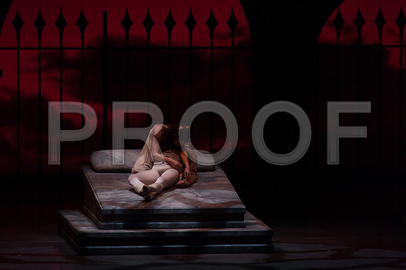 5029_DG_Miami_City_Ballet_Romeo_and_Juliet_Broward_center_2011_MG_7790