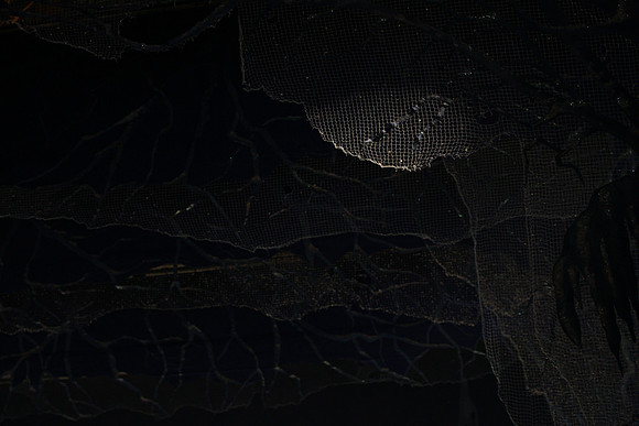 20130328_file002019