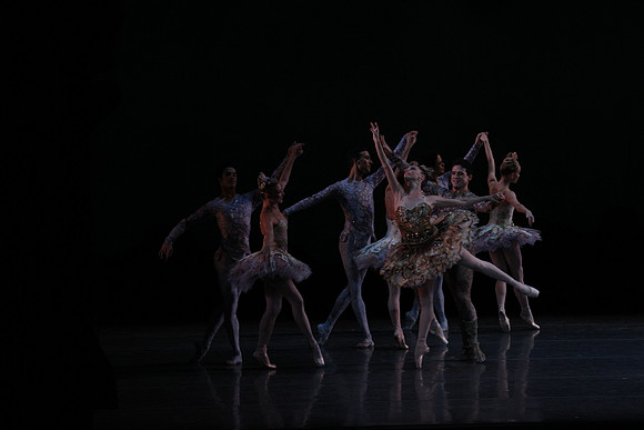 20160318_Midsummer_Night's_Dream_PR_Closeup_G3P0007