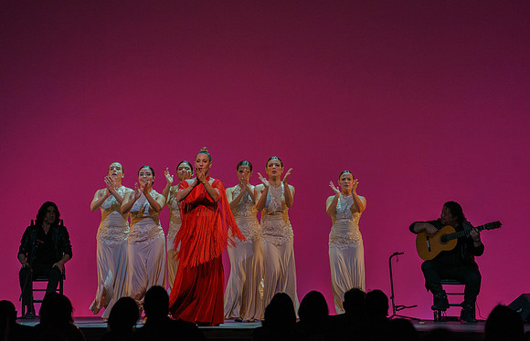 20210417_Siudy_ flamenco_archt_DSC9918