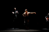 20140227_Flamenco_Festival_1_9C7C0016