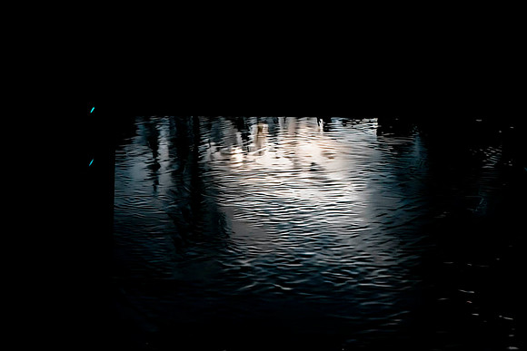 _DSC5554