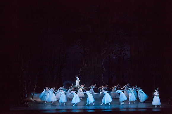 7064_DG_GISELLE_Broward_Preformance_Miami_City_Ballet_FL_IMG_4604