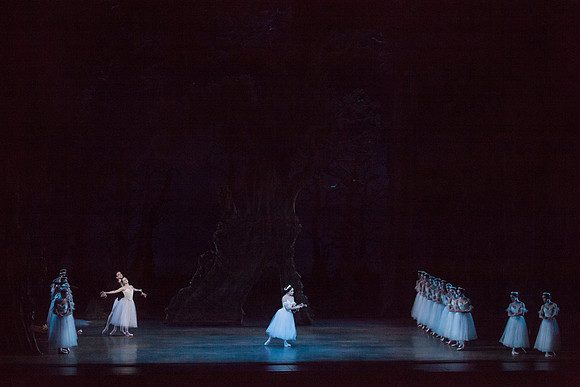 7064_DG_GISELLE_Broward_Preformance_Miami_City_Ballet_FL_IMG_4670