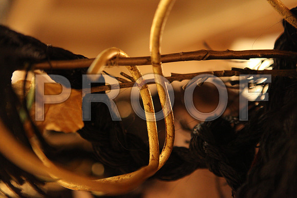 20140508_THAIS_ARSHT_IMG_1399