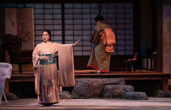 20200116_Madana_Butterfly_DR_173A0073