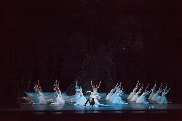7064_DG_GISELLE_Broward_Preformance_Miami_City_Ballet_FL_IMG_5003