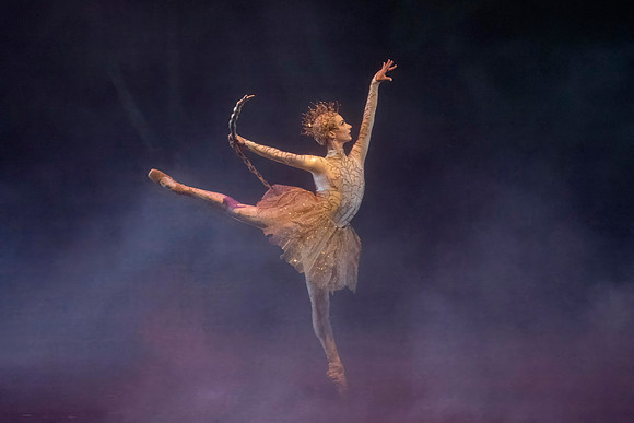 20241018_untitled20241018_Midsummer_2 Cast_MCB_Morning_5635