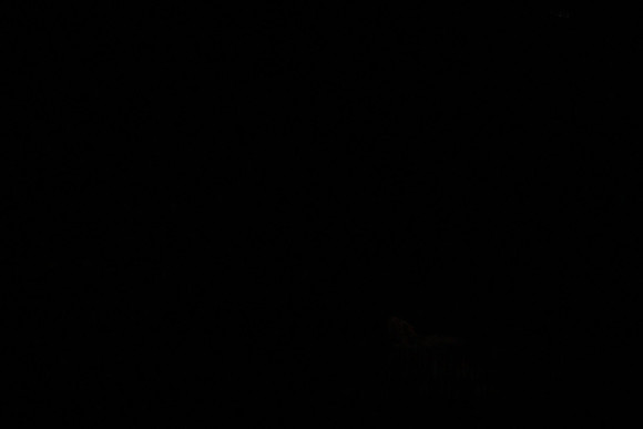 20130328_file004285
