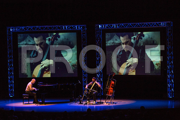 20150203_The_Piano_Guys_Arsht_9C7C1594