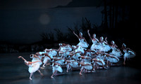 20151114_Swan_Lake_George_Balanchine_Kravis_IMG_6544