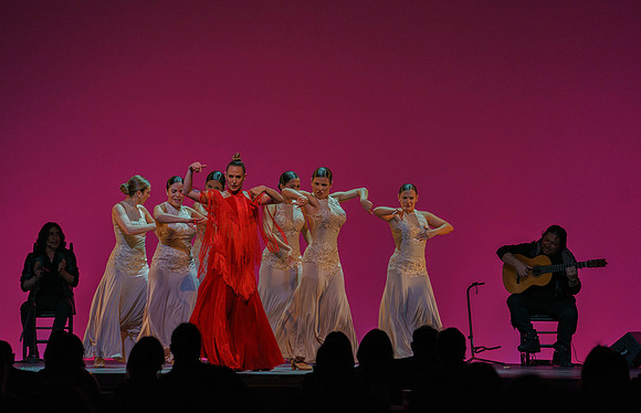20210417_Siudy_ flamenco_archt_DSC9916