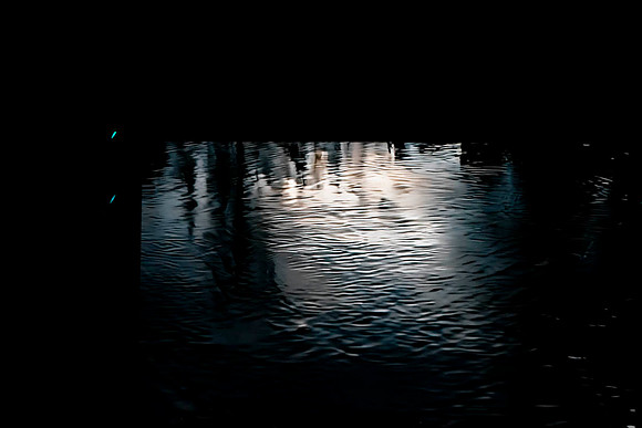 _DSC5557