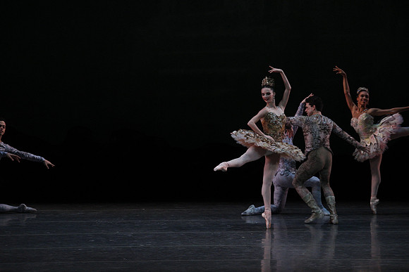 20160318_Midsummer_Night's_Dream_PR_Closeup_G3P0081