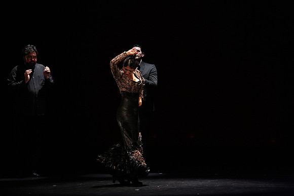 20140227_Flamenco_Festival_1_9C7C0084