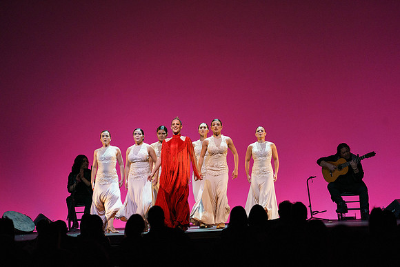 20210417_Siudy_ flamenco_archt_DSC9967