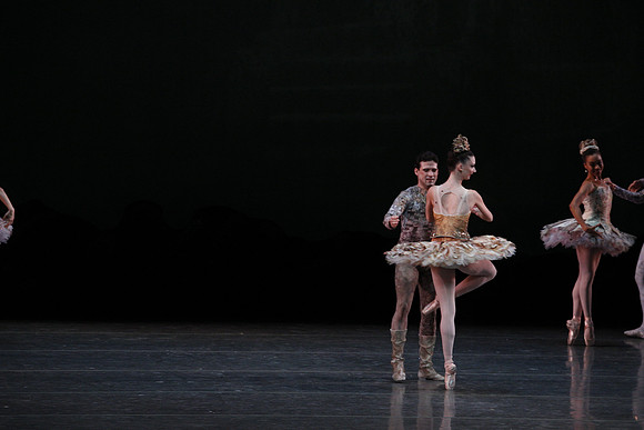 20160318_Midsummer_Night's_Dream_PR_Closeup_G3P0119
