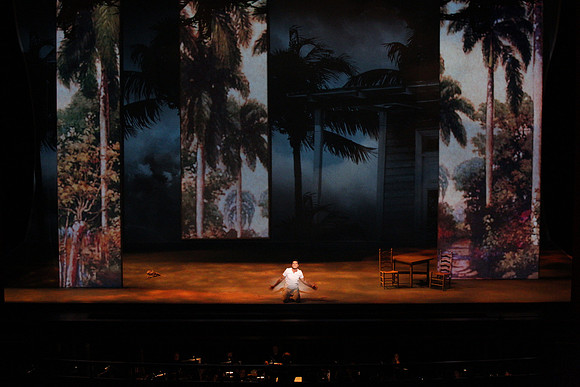 Before Night Falls Florida Grand Opera by Jorge Martin with Dolores M. Koch