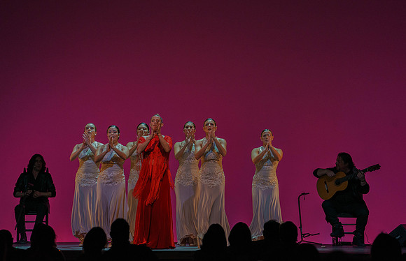 20210417_Siudy_ flamenco_archt_DSC9920