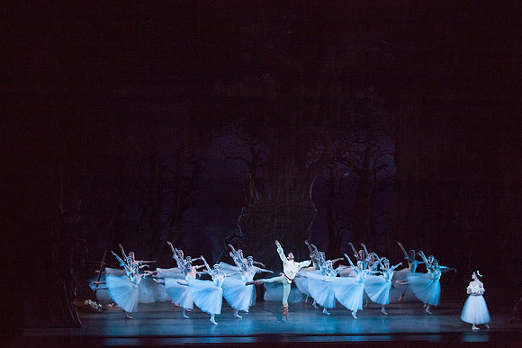 7064_DG_GISELLE_Broward_Preformance_Miami_City_Ballet_FL_IMG_4608