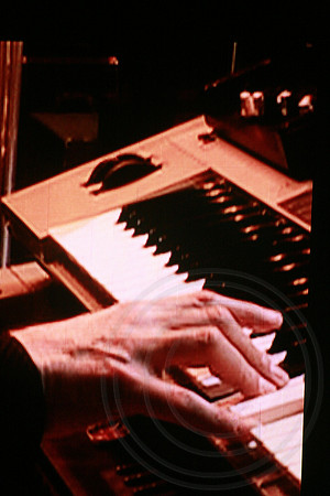 20100409_3886_DG_Paul_Mccartney_Up_Coming_Tour_Concert_Miami_FL__MG_0056