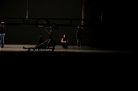 20170209_Polyphonia_DR_73A2757